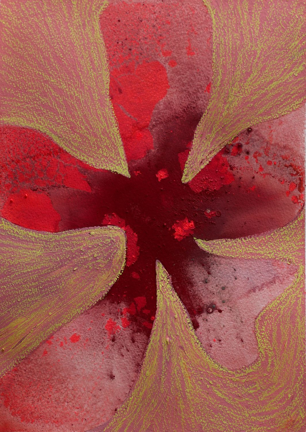 Fiore 35 Fiore 35
