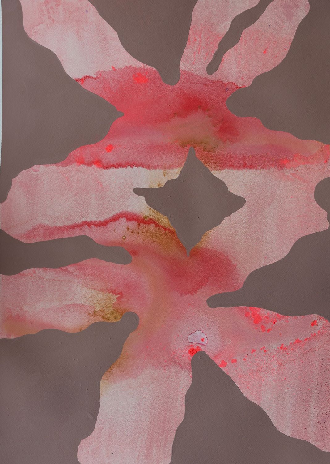 Fiore 5
