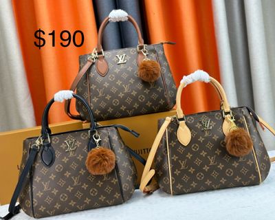LV Purse
