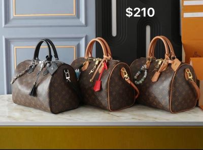 LV Purse