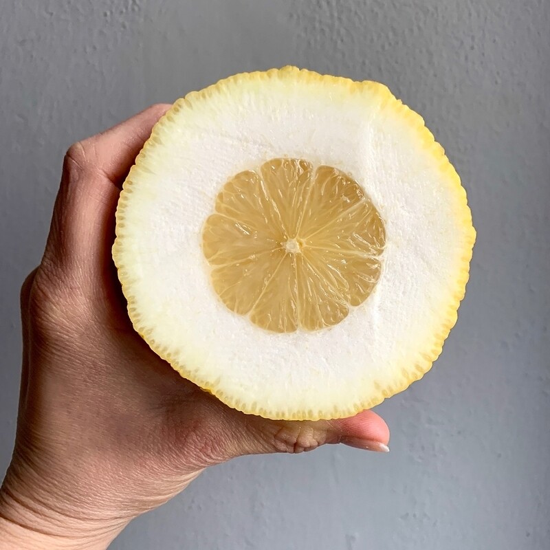 Citrus medica "Piretto" - Cedro Piretto