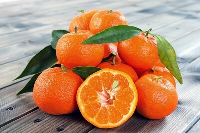 Citrus sinensis x Citrus clementina - Tacle
