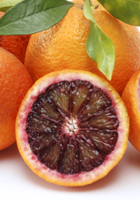 Citrus sinensis - Arancio Moro