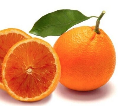 Citrus sinensis - Arancio Tarocco Rosso