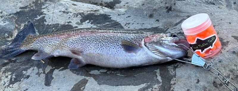 Floating Trout Eggs