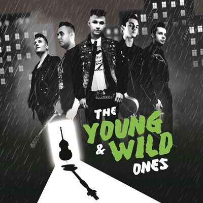 LP - VA - the YOUNG & WILD ones / 12" Vinyl Jade Green Marbled