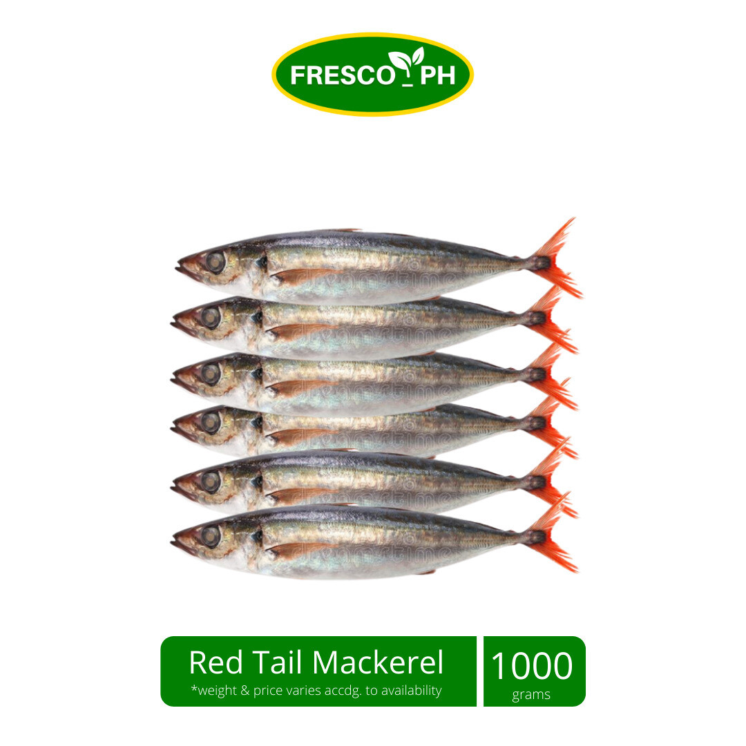 Buy Mackerel Red Tail Regular At Fresco Ph Now