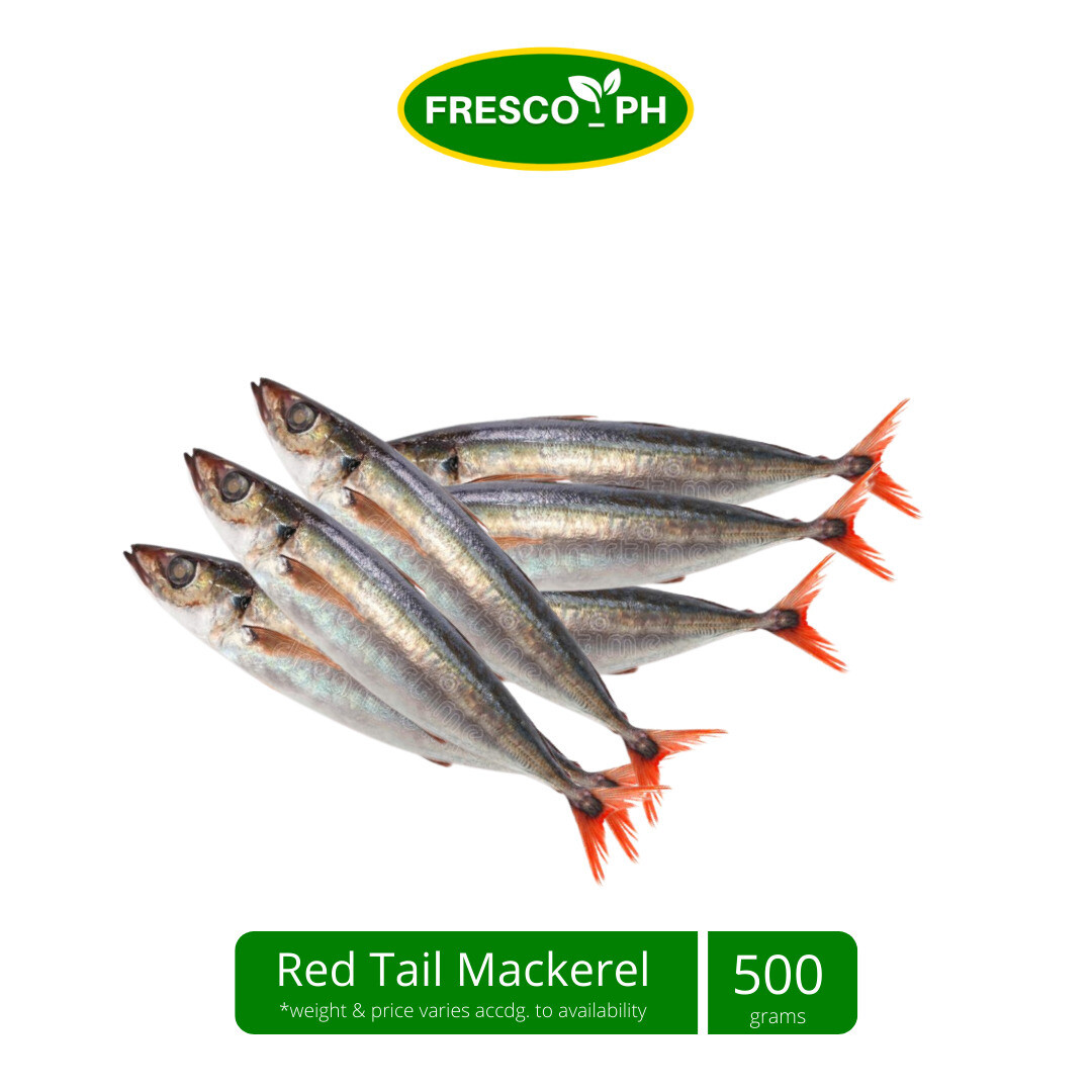 Manulsog/ Mackerel Red Tail Regular 500g