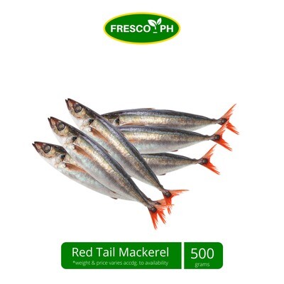 Manulsog/ Mackerel Regular Tail Big 500g