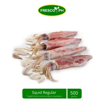 Squid Regular (white) 500g