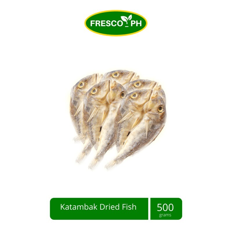 Katambak Dried Fish 500g