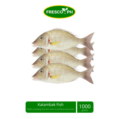 Katambak Fish 1kg