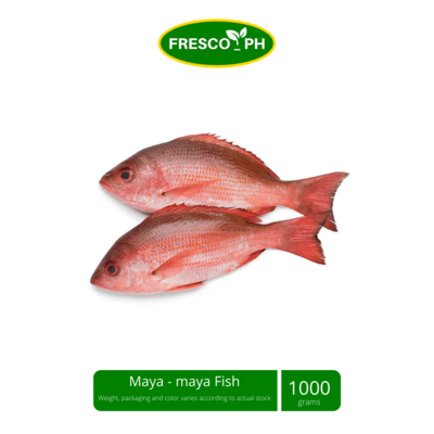 Maya - maya Fish (Red Snapper) 1kg