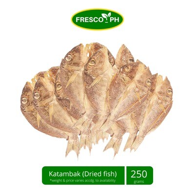 Katambak Dried Fish 250g
