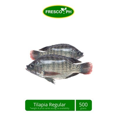 Tilapia Regular 500g