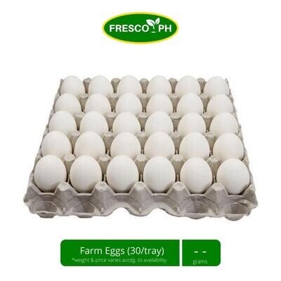 Eggs - Medium (30pcs)