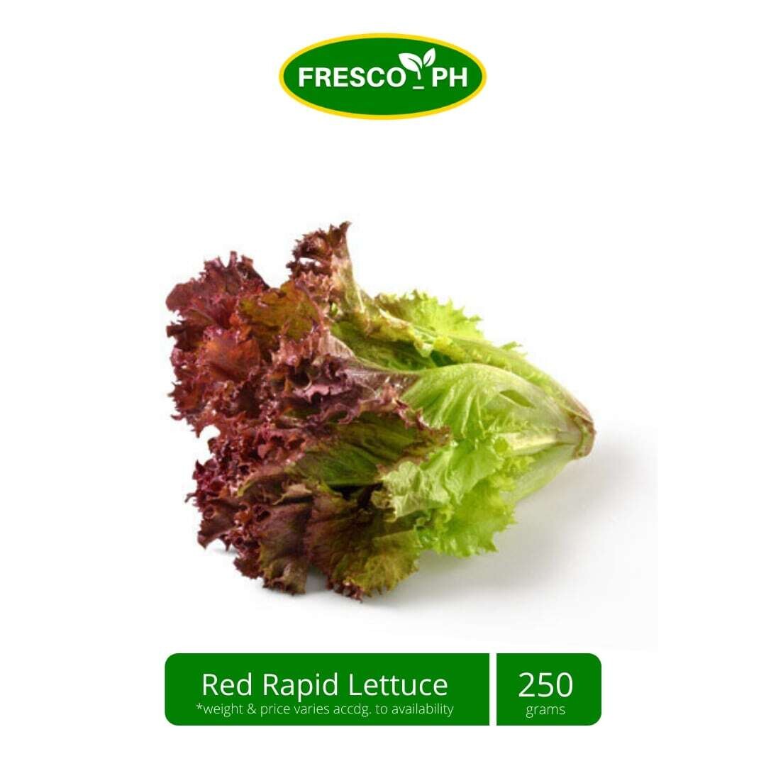Red Rapid Lettuce 250 grams