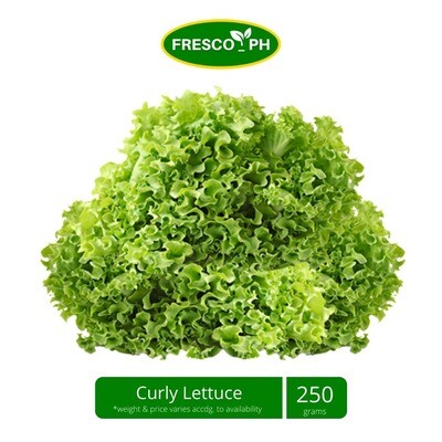 Curly Lettuce 250g