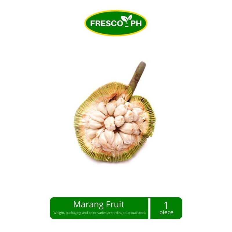Marang Fruit 1 piece (1pprox 1kg)