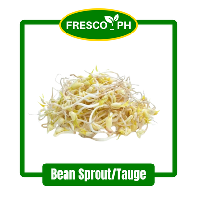 Bean Sprout / Tauge 1 pack