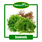 Seaweeds