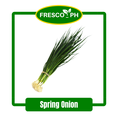 Spring Onion (per tie)