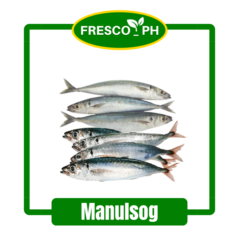 Manulsog/Round Scad (500 grams)