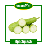 Opo Squash (1 kilogram)