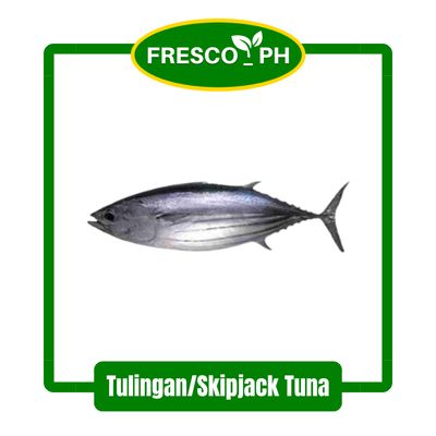 Tulingan/Skipjack Tuna (Apprx. 1-1.2kg)