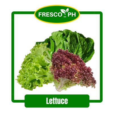 Lettuce