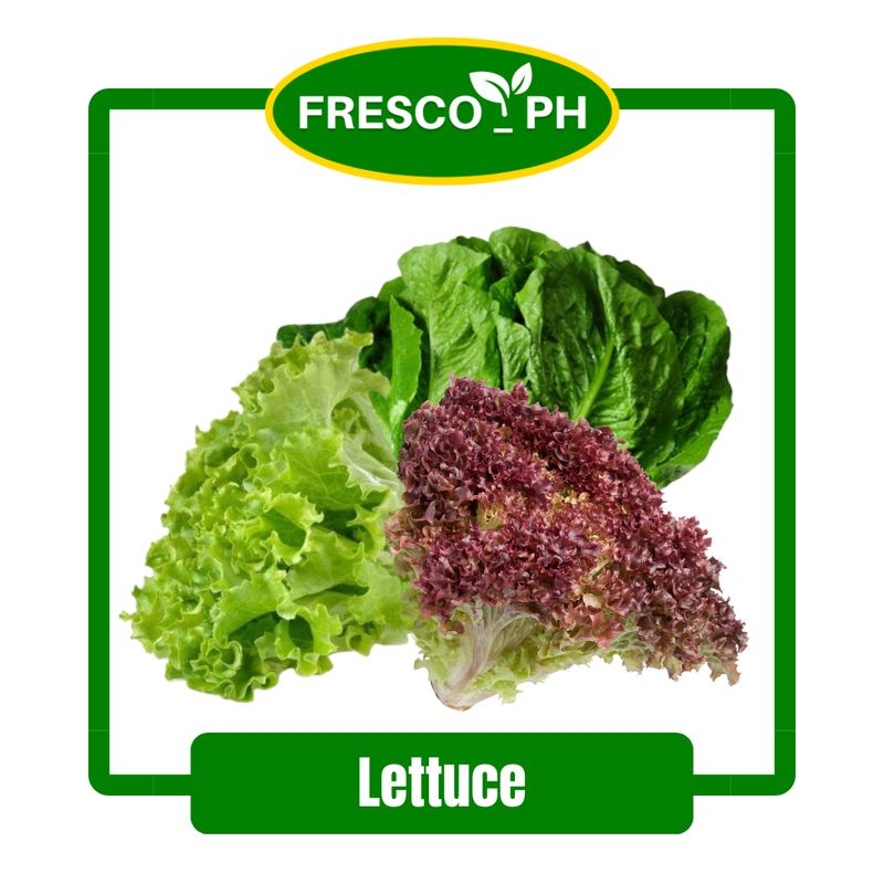 Lettuce
