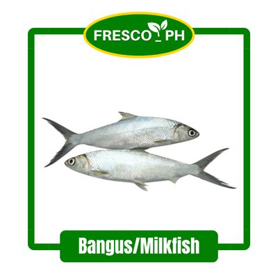 Bangus/Milkfish