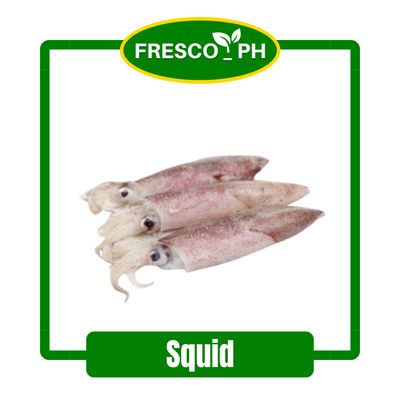 Squid/Lumayagan (500 grams)