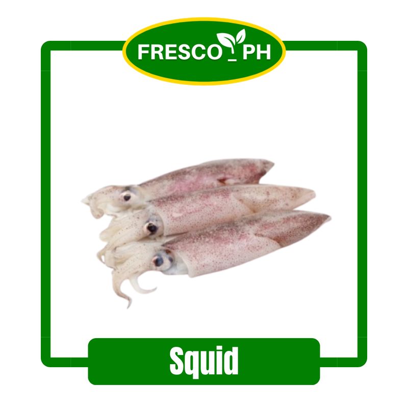 Squid/Lumayagan (500 grams)