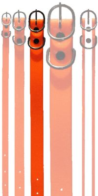 COLLARI A NASTRO 25 mm