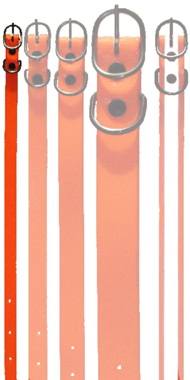 COLLARI A NASTRO 13 mm