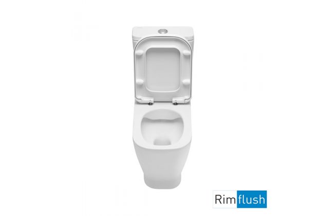 Look, rimflush back to wall toilet bowl