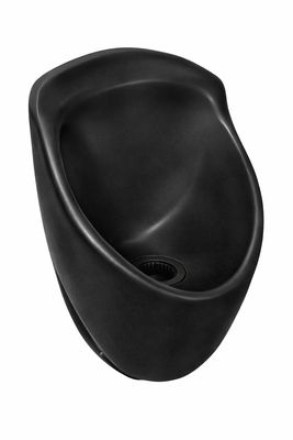 2005 Anza (black)