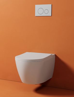 Rapowash Toilet Luxe