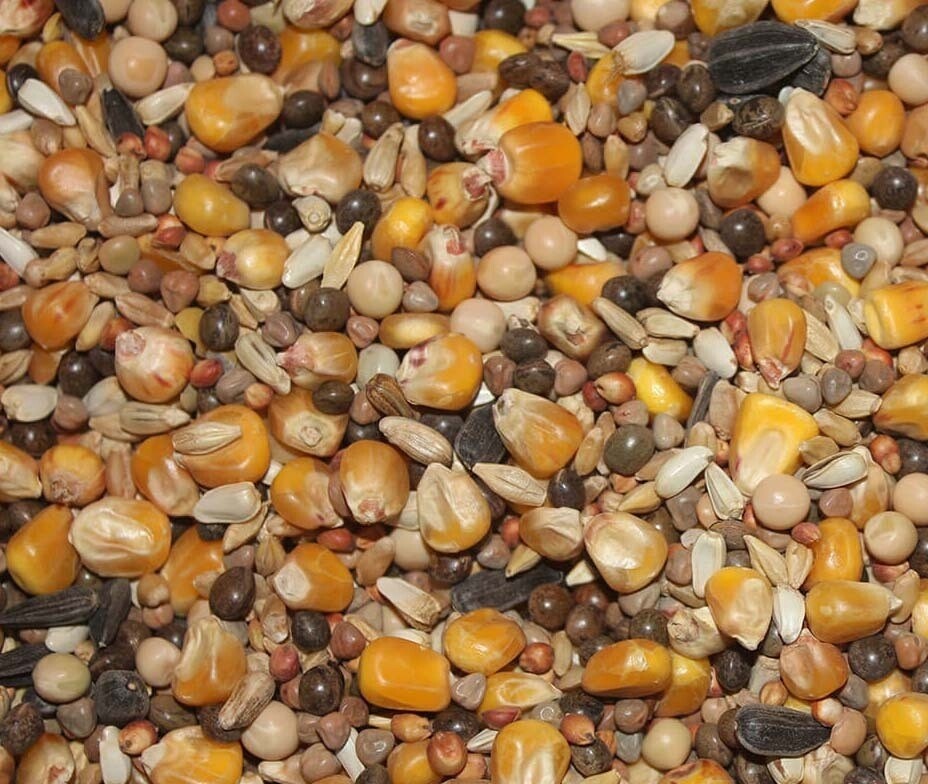 Mixturas Palomas NUMERO 1 con maiz 25 kg