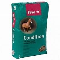Pavo Condition