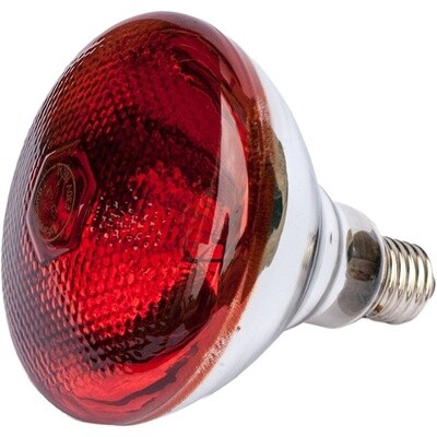 Lámpara Infrarroja 250W