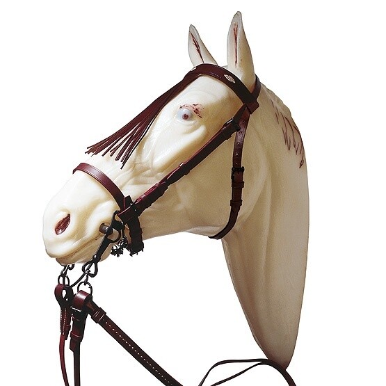 CABEZADA JEREZANA IMP. C/ RIEND.  FULL