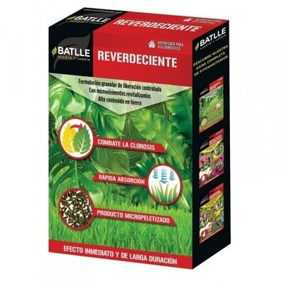 REVERDECIENTE 1 KG