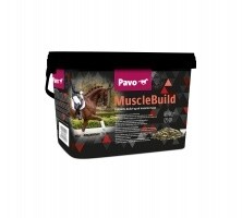 Pavo Muscle Build