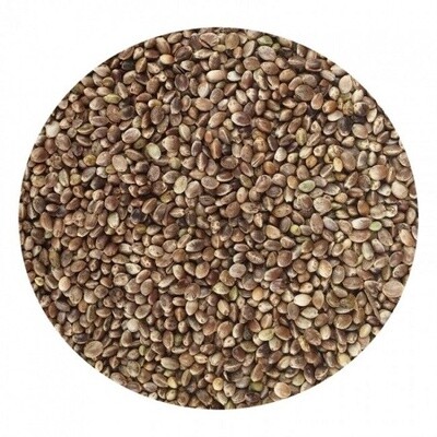 CAÑAMON FINO 5 KG