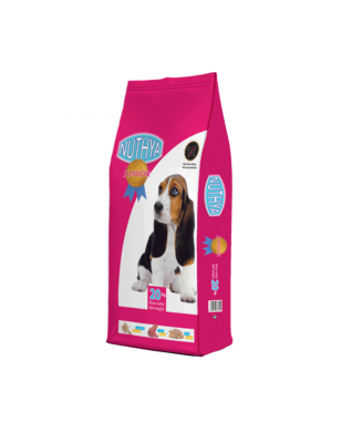 CACHORRO NUTHYA JUNIOR 34/16  20 KG