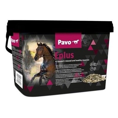 Pavo Eplus