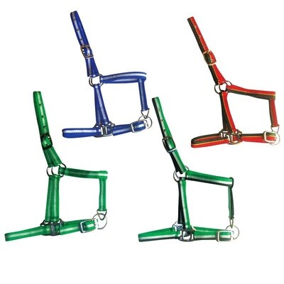 CABEZADA NYLON POTRO 2 HEB. B.ESPAÑOLA