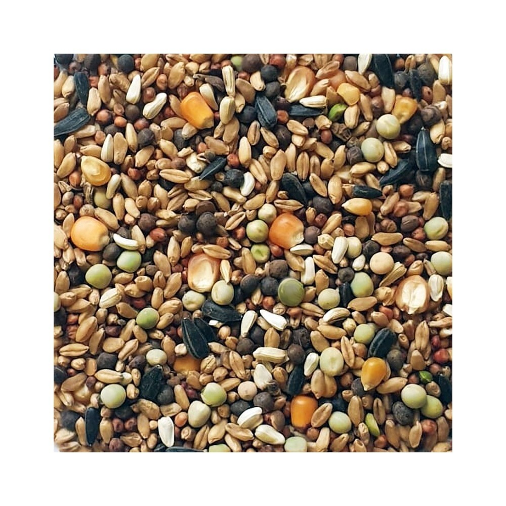 mixtura palomas nº 2 con maiz